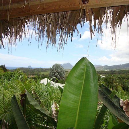 Eden Paradise Spa Ecolodge Sainte-Luce Exteriér fotografie